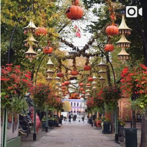 Screenshot-2017-11-12 Tivoli København ( tivolicph) • Photos et vidéos Instagram(2)